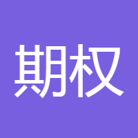 期权小画家